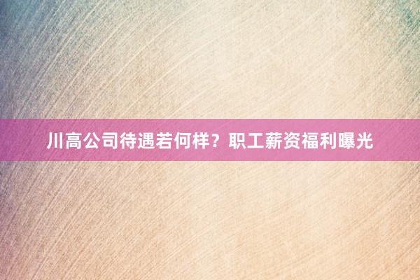 川高公司待遇若何样？职工薪资福利曝光